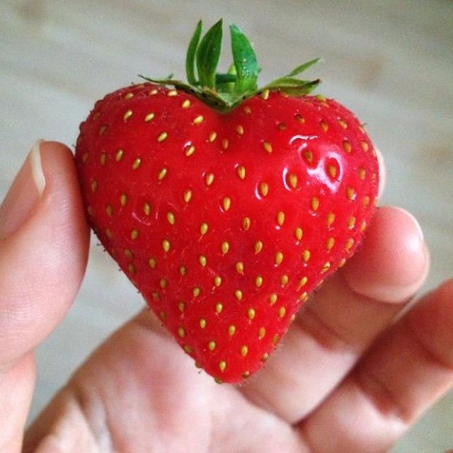 16 Funny Shaped Fruits And Vegetables That Forgot How To Be Plants Emlii