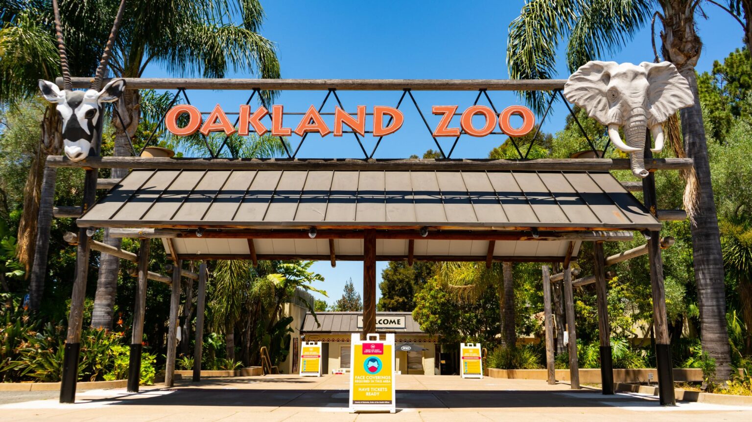 9 Best Zoos in California in 2022 - Emlii