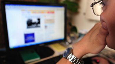 What Makes Pornography popular